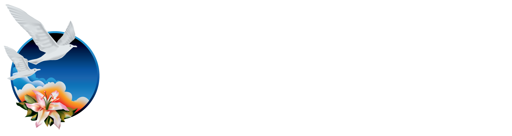 New Image Greece Logo