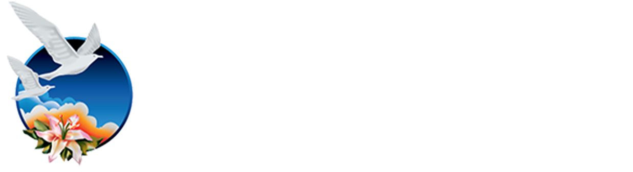 New Image International Logo - Light